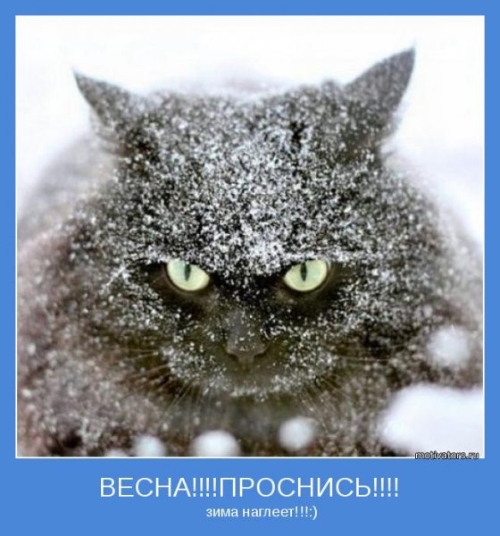 Холодная Весна приколы