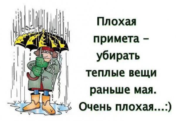 Смешные фразы про дождь