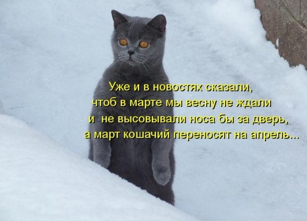 Шутки про зиму и весну