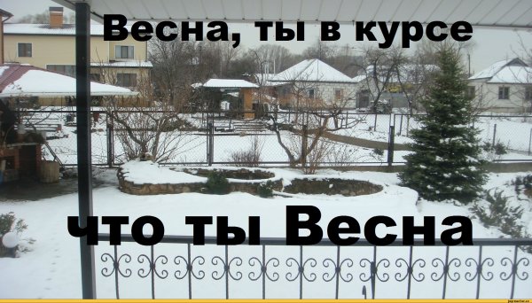 Холодная Весна приколы