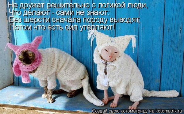 Добрые иллюстрации Элины Эллис