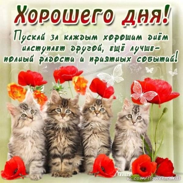 Пожелания с добрым утром прикольные