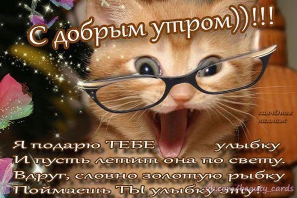 Стдньным утром понедельника