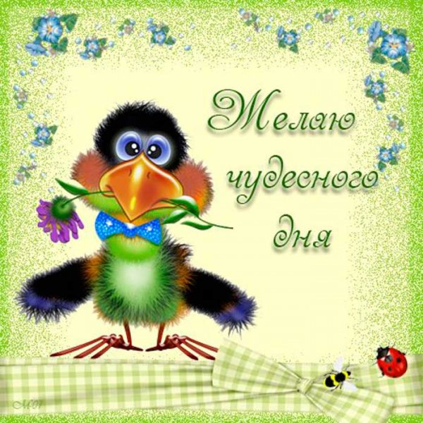 Поздравление с понедельником
