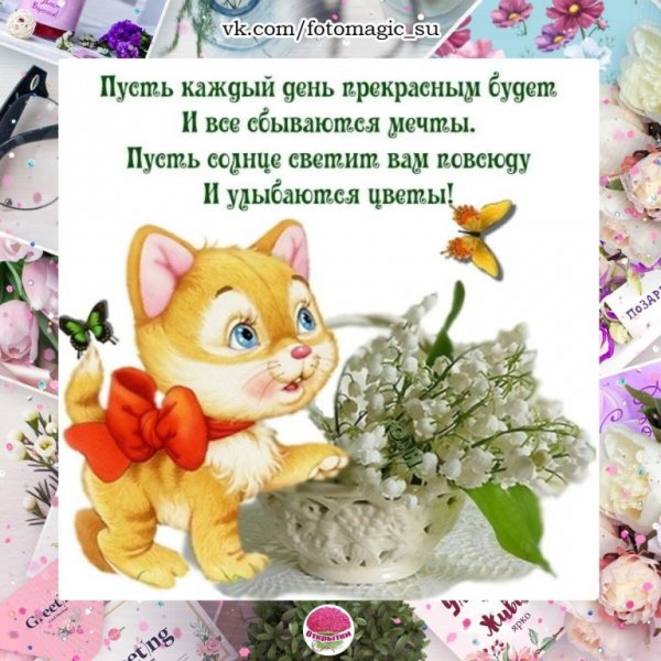 Поздравление с понедельником прикольное