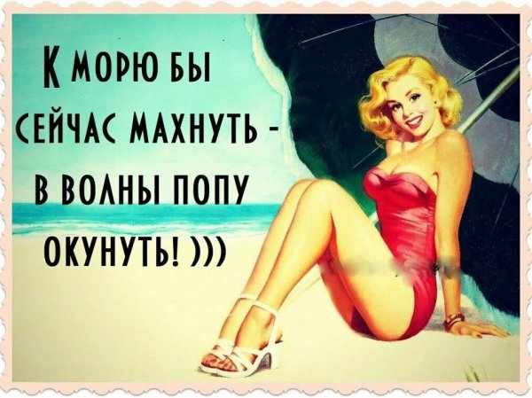 Прикольные статусы в картинках для женщин