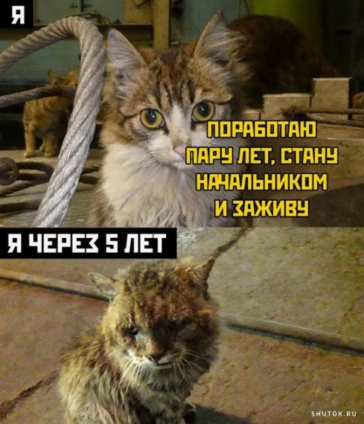 Весело живем прикол