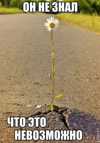 Отличного настроения прикольные