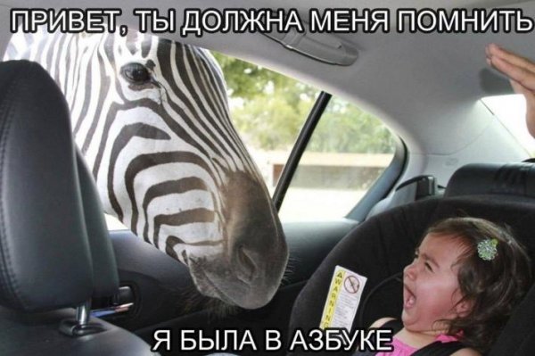 Юмор в коротких штанишках