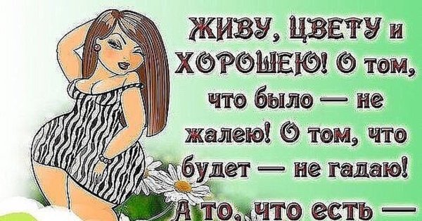 Маша и медведь приколы