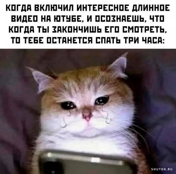 Дети юмор