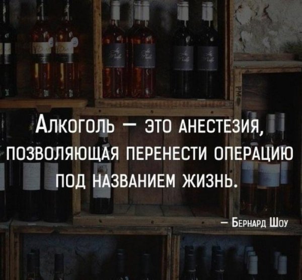 Смешные высказывания про алкоголь