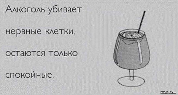 Смешные высказывания про алкоголь