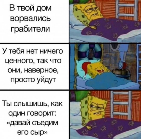 Смешные цитаты о приключениях