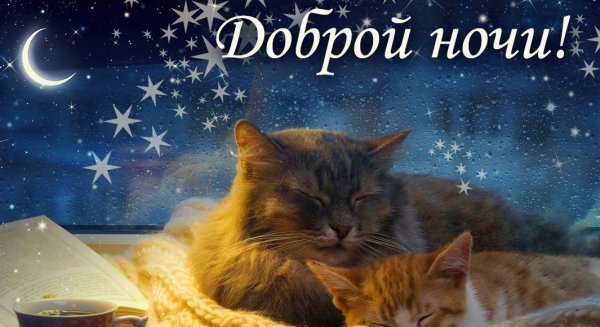 Спокойной уютной ночи