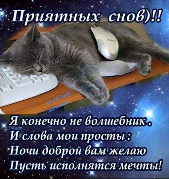 Пожелания спокойной ночи