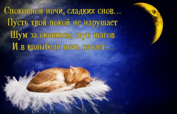 Доброй ночи сладких снов