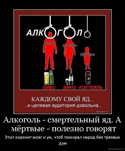 Цитаты про алкоголь смешные