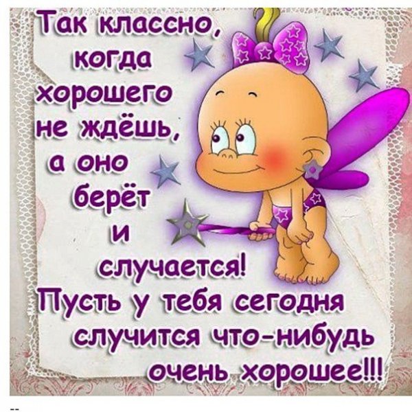 Пожелания хорошего дня прикольные