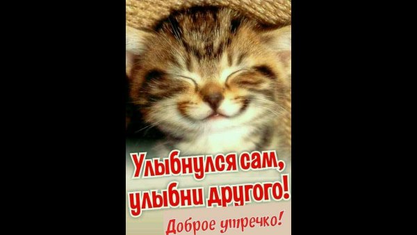 Улыбнулся сам Улыбни