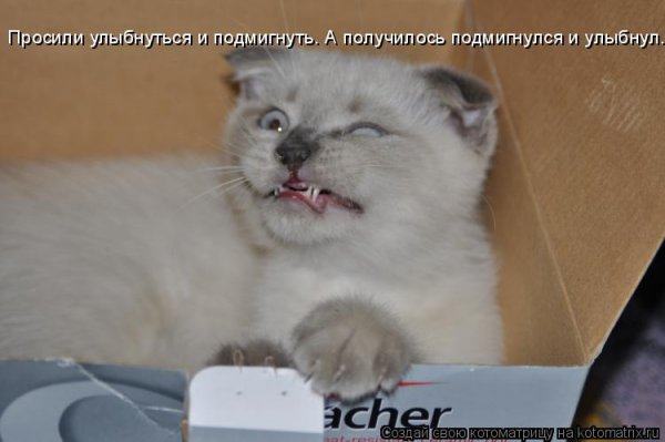 Улыбнись тебе идет
