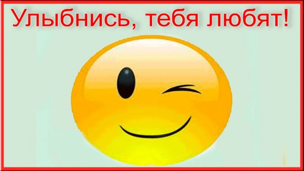 Доброе утро с лошадьми
