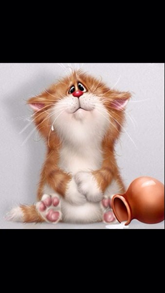 Смешные открытки с котиками