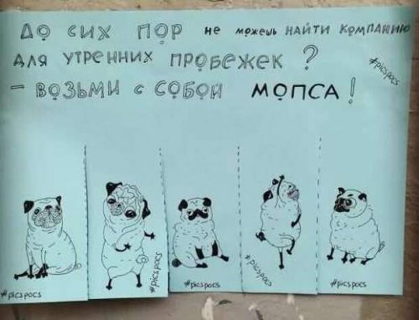 Прикольные объявления для поднятия настроения
