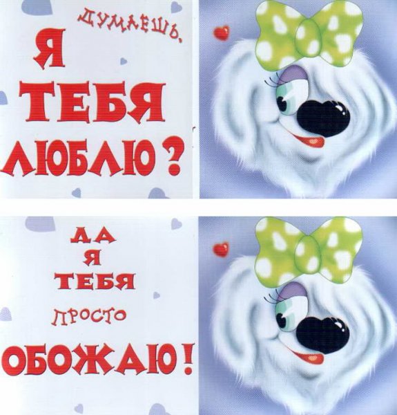 Открытка я тя люблю прикольные
