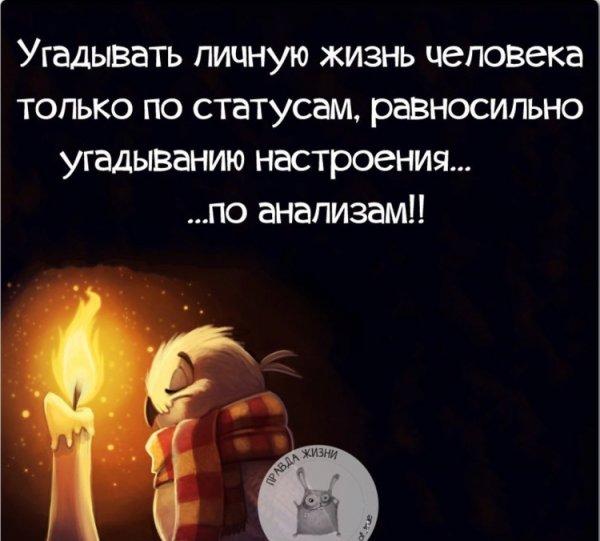 Смешные цитаты про жизнь