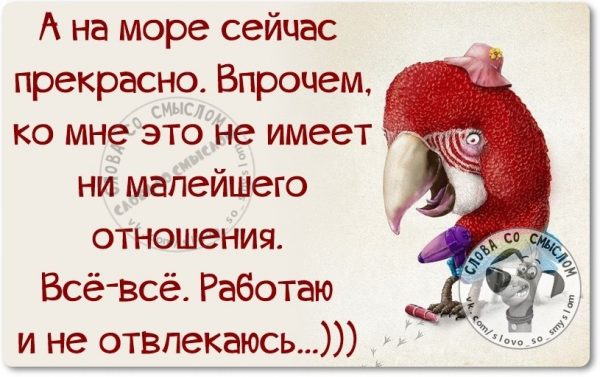 Смешные цитаты со смыслом