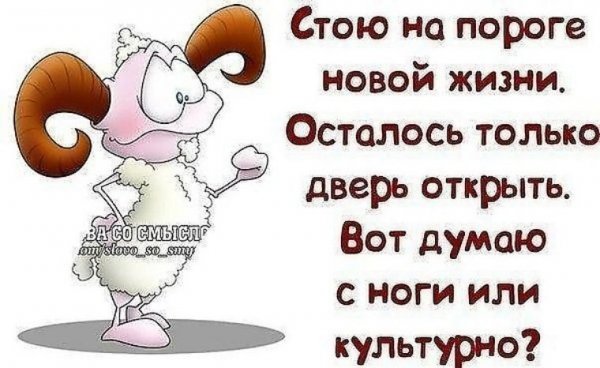 Весёлые статусы со смыслом