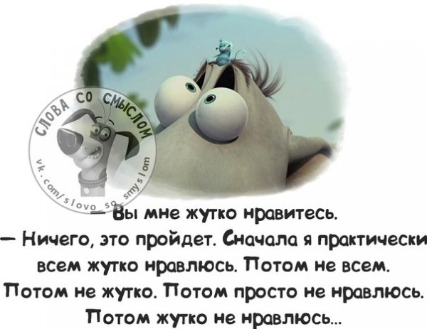 Смешные цитаты со смыслом