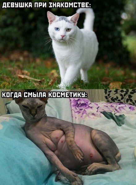 Читаешь старые переписки
