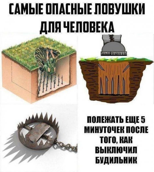 Приколы про музыкальную школу