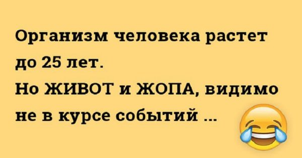 Хорошие анекдоты для поднятия настроения