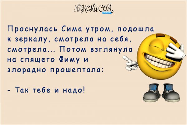 Весёлый анекдот для настроения