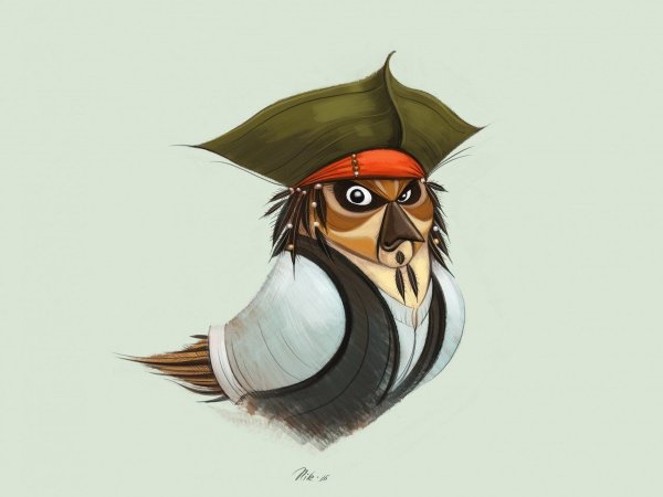 Капитан Джек Воробей птичка