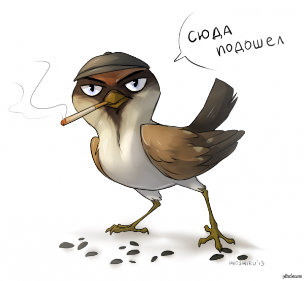 Злой Воробей