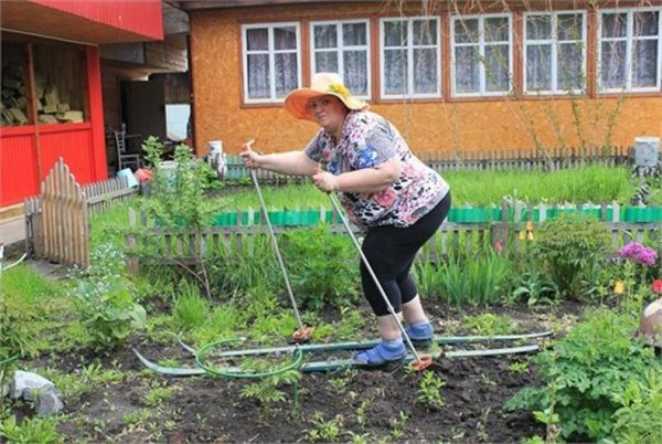 Приколы на садовых участках