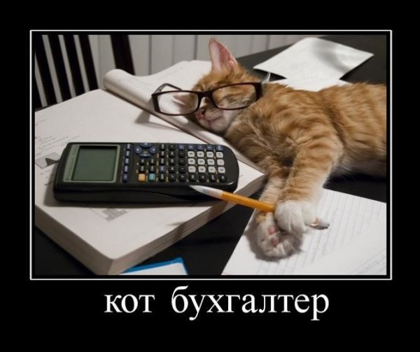 Бухгалтер картинки прикольные