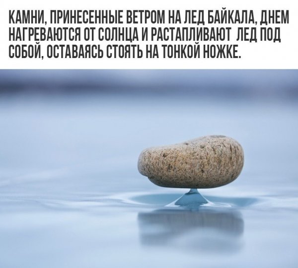 Удивительные факты в картинках с надписями