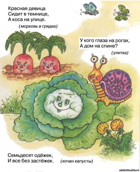 Загадки с подвохом