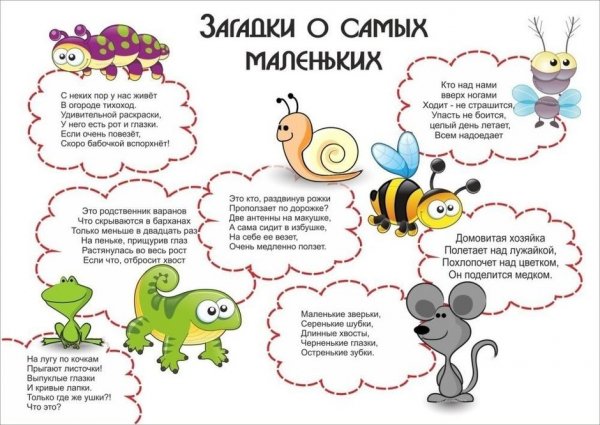 Загадки о животных