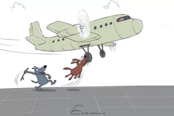 Карикатуры на самолеты