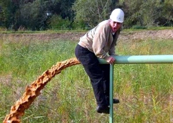 Понос прикол