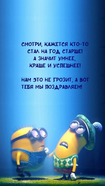 Смешные мордочки для заставки