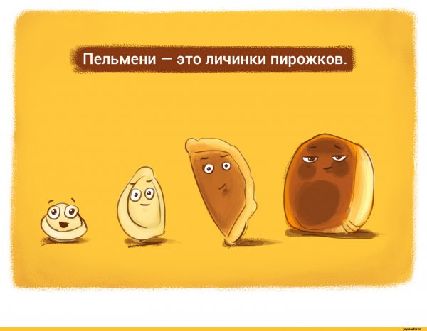 Пирожки юмор