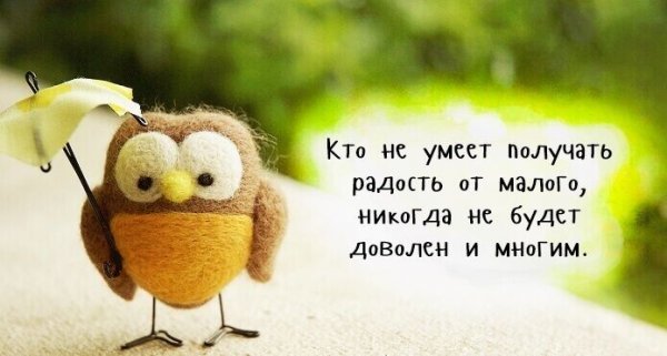 Позитивные высказывания