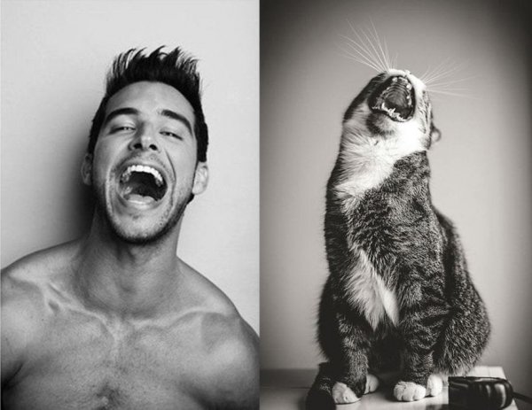 Парень с котом